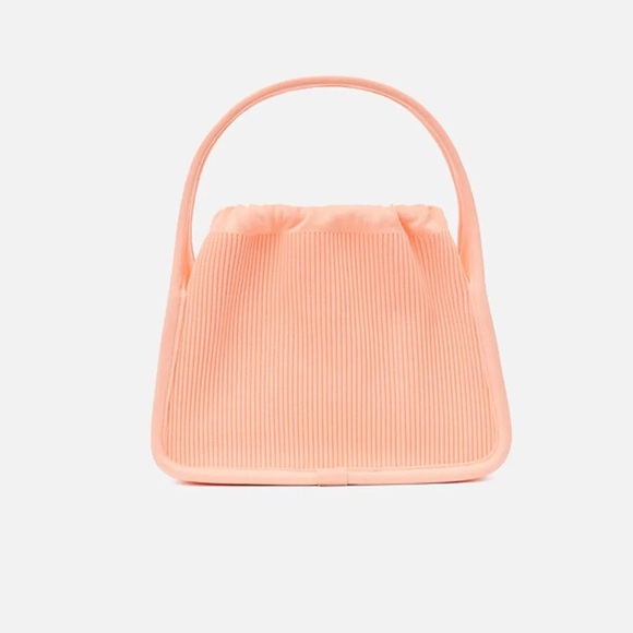 Brand New Alexander Wang Ryan Small Bag